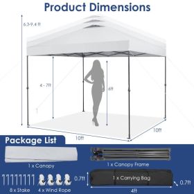 10 x 10 Feet Foldable Outdoor Instant Pop-up Canopy with Carry Bag